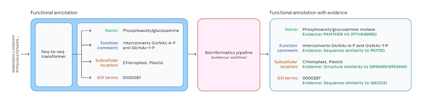 Diagram alur Antigravity untuk menganotasi fungsi protein dari sekuens asam amino